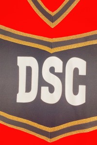 Manufacture of long-sleeved men's cheerleading uniforms Customized bronzing style V-neck cheerleading uniforms Cheerleading uniform supplier CH207 side view
